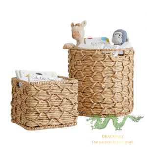 water-hyacinth-bathroom (2)