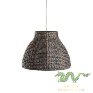 water hyacinth light