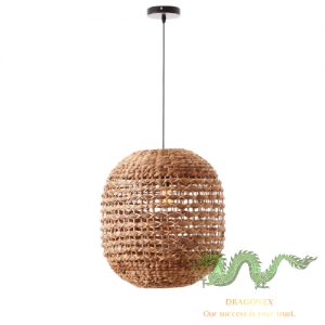 water hyacinth light