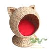 water-hyacinth-pet-house (3)