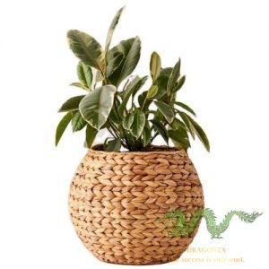 water-hyacinth-plant-pot (3)