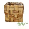 water-hyacinth-plant-pot (4)