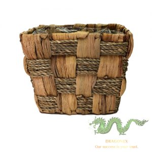 water-hyacinth-plant-pot (5)