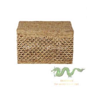 water-hyacinth-trunk