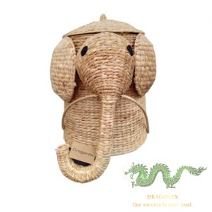 water-hyacinth-trunk