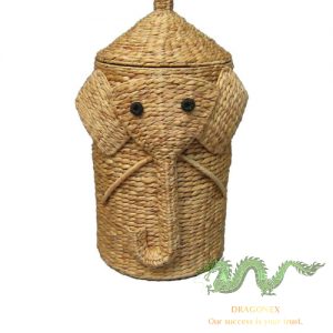 water-hyacinth-trunk