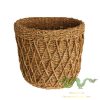 grass-plant-pot
