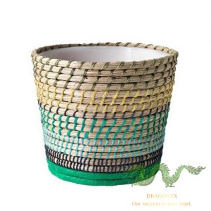 grass-plant-pot
