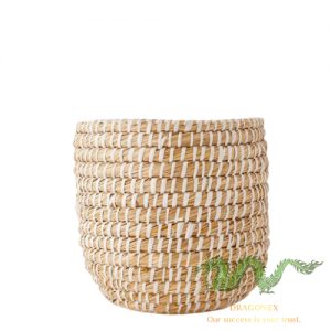 grass-plant-pot
