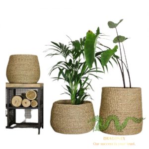 grass-plant-pot