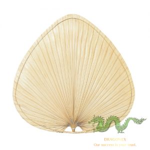palm-leaf-hand-fan