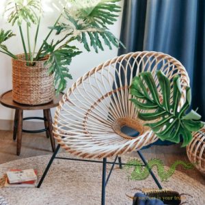rattan-furniture