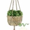 rattan-plant-pot