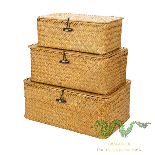 Seagrass box 06 - Vietnam Dragon