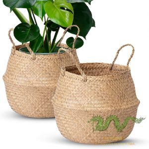 seagrass-plant-pot