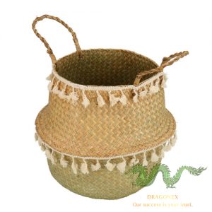 seagrass-plant-pot