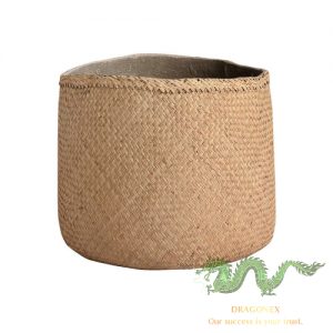 seagrass-plant-pot