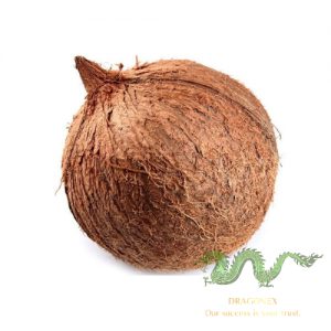 coconut-fruit