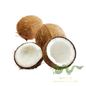 coconut-fruit