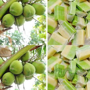 coconut-jam-candy-01