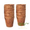 coconut-plant-pot