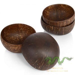 coconut-shell-01