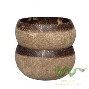 coconut-shell-01