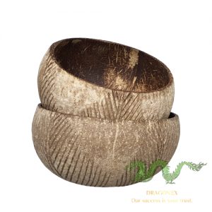coconut-shell-01