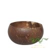 coconut-shell-01