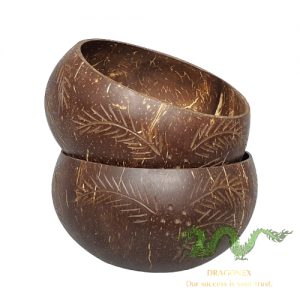 coconut-shell-01