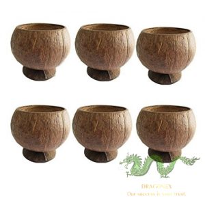 coconut-shell-01