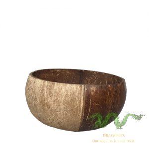 coconut-shell-01