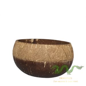coconut-shell-01