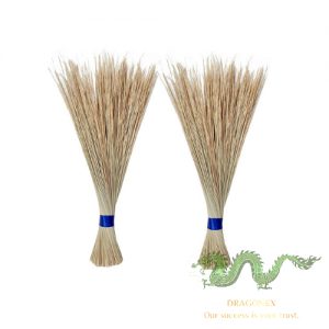 coconut-broom
