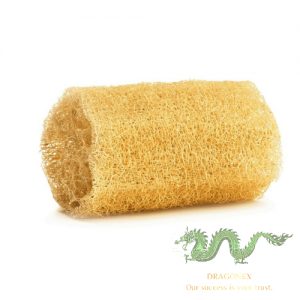 loofah-sponge
