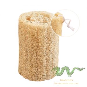 loofah-sponge