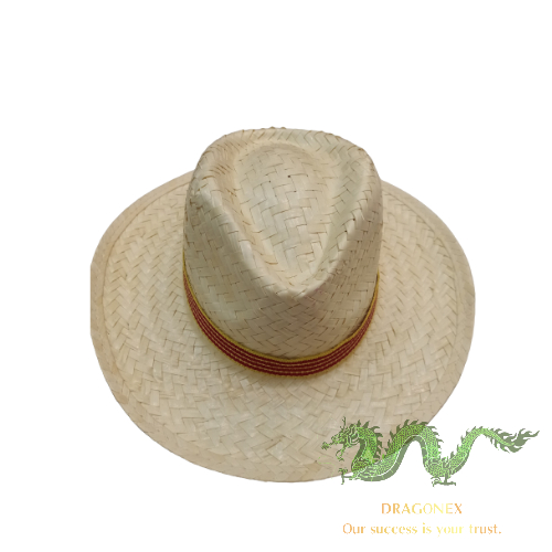 Cowboy straw hat 18