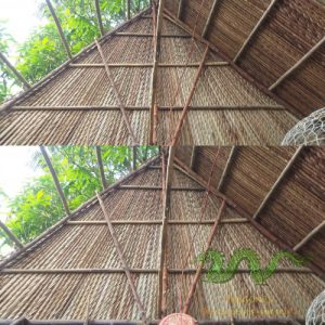 Coconut leaf material